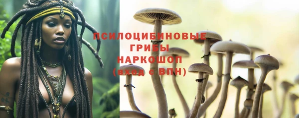эйфоретик Медногорск